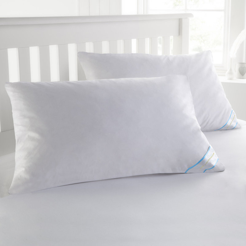Ensemble de 4 coussins en duvet BeautySleep, Standard / grand - paquet de 4