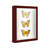 Solid Wood Shadow Box Picture Frame-160059905