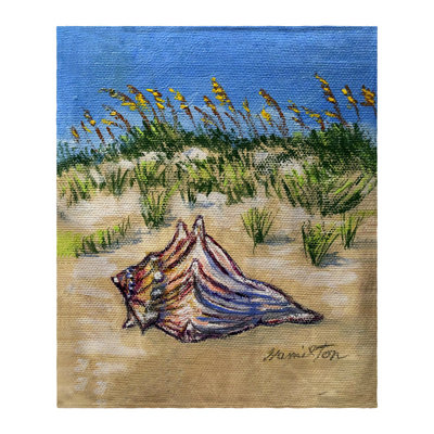 Jeté Conch Found