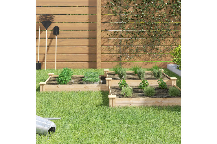 Growing your own vegetables in your garden