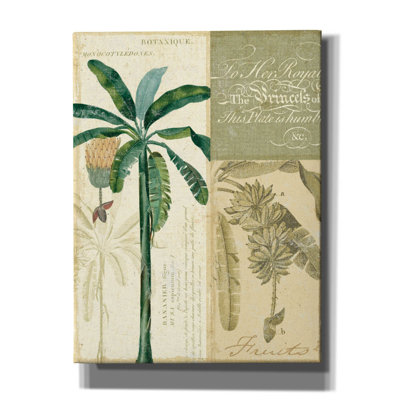 «Palm Study II» par NBL Studio