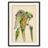 Parrots Giclee Print by Soicher Marin Archives