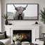 «Animals Highland Cow», portrait en noir et blanc sur toile-111176951-98042249