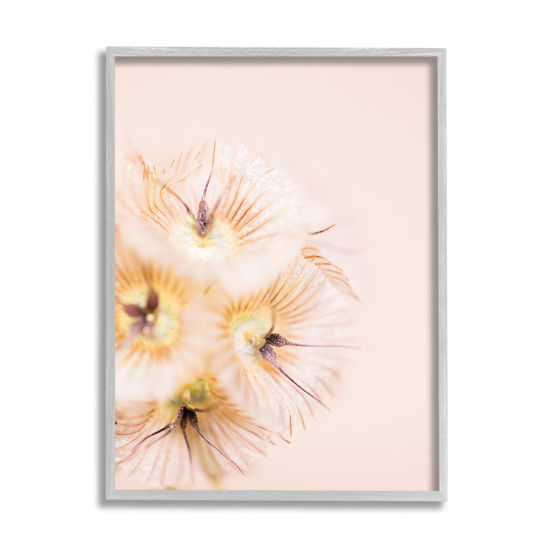 Fleurs abstraites uniques, fleurs de javel, pétales blonds, photographie abstraite surdimensionnée encadrée en noir, art texturé par Renee W. Stramel