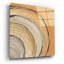 «Gilded Rings» par Chris Paschke-1449427219