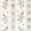 Papaver Stripe-1145336408
