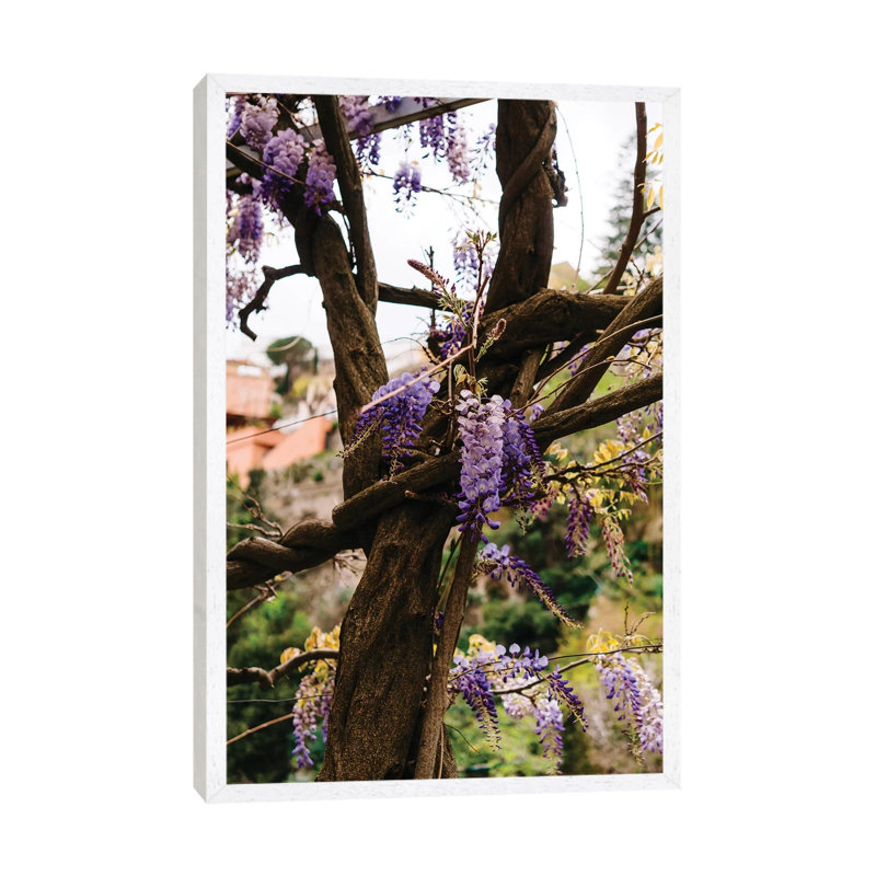 Positano Blooms VI by Bethany Young - Print on Canvas, 66.04cm H x 45.72cm W x 3.81cm D, White Framed
