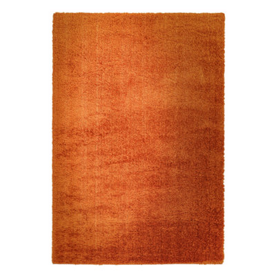 Natonia Shiny Shaggy Orange Area Rug