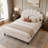 Tayveion Upholstered Platform Bed with Floral Velvet Headboard-684850047-684850032-717470297