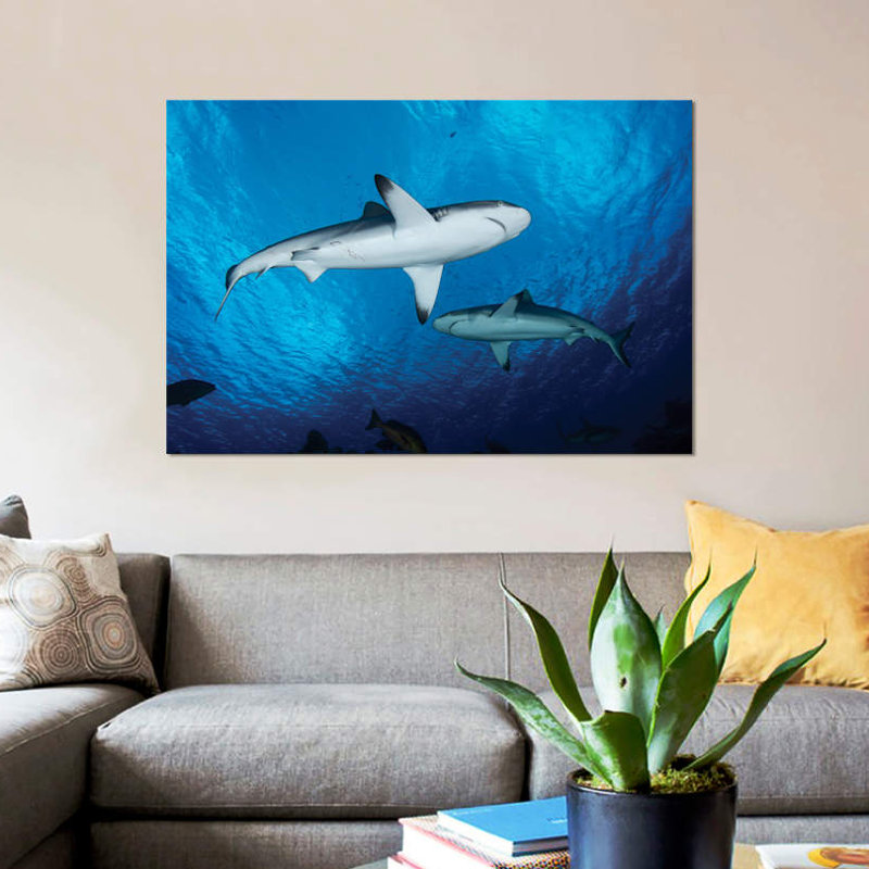 " Gray Reef Sharks, Yap, Micronesia " by Andreas Schumacher, 26" H x 40" W x 1.5" D, Wrapped Canvas, No Mat