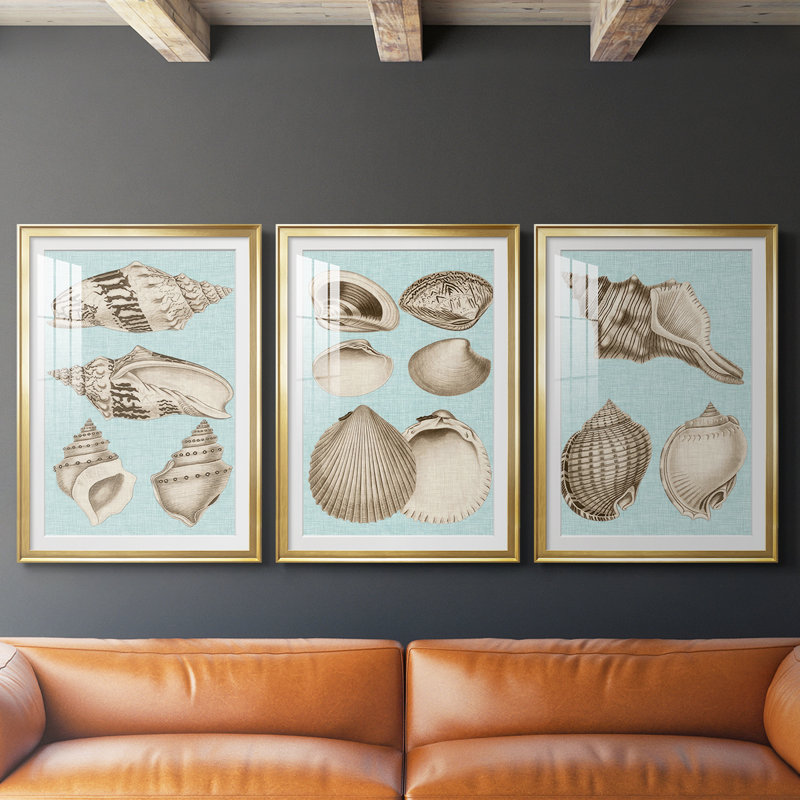 Sépia et aqua coquillages IV - reproduction sur mesure encadrée de qualité supérieure - 3 pièces, H 27 po x l 39 po, Doré