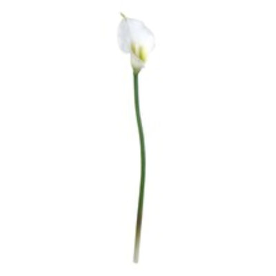 18" Real Touch Calla Lily Stem - Set of 6 Faux Flowers