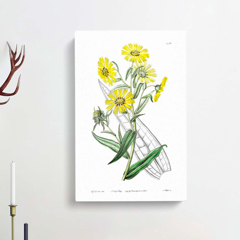 Yellow Daisies - Wrapped Canvas Painting, 50cm H x 35cm W x 3cm D