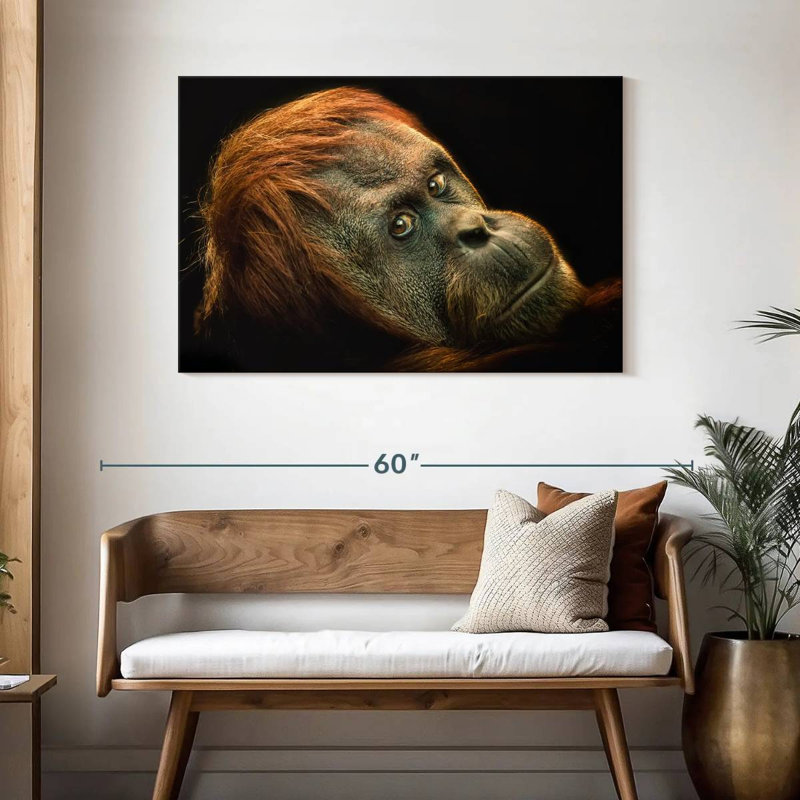 Brampt Dramatic Orangutan, 30" H x 45" W