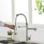 Belfry Kitchen Allicia Pull Down Kitchen Faucet
