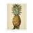 White Framed Paper Print