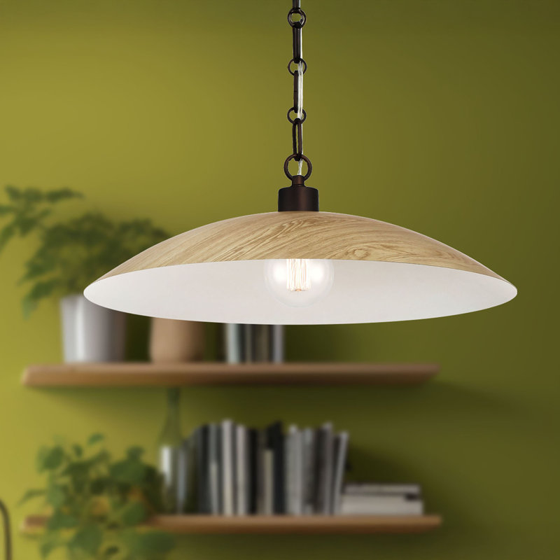 Luminaire suspendu 18,5 po Derby