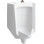 Bardon™ High-Efficiency Urinal (HEU), Washdown, Wall-Hung, 0.125 GPF to 1.0 GPF, Top Spud, Antimicrobial