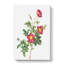 Common Alpine Rose In Pink by Pierre-Joseph Redoute - Wrapped Canvas-55370859