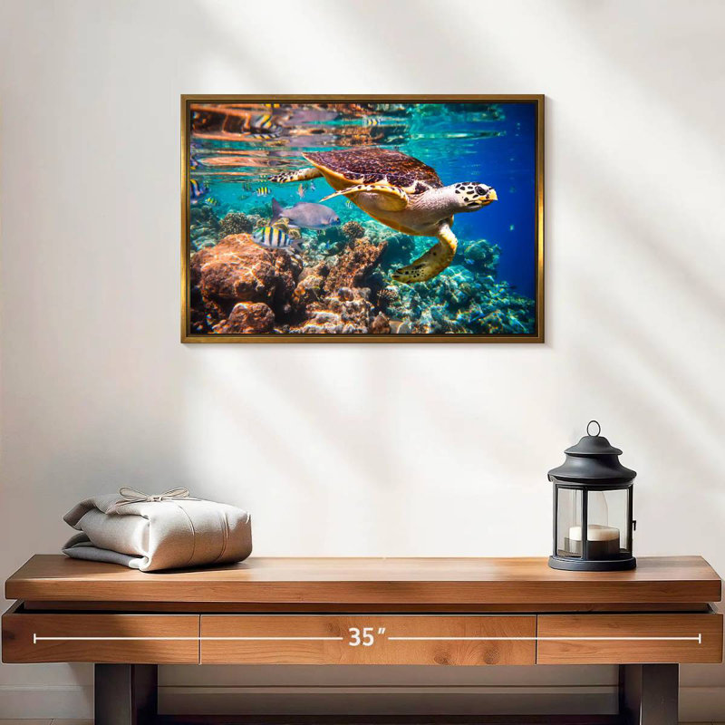Vie marine vive, 19 po x 13 po, Cadre flottant doré