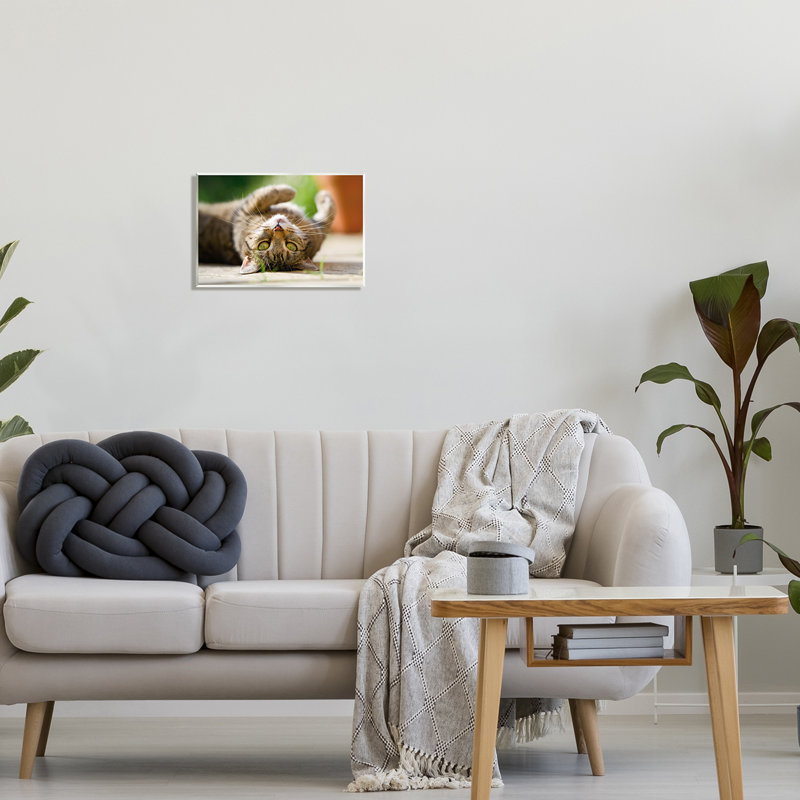 «Ba-374-Wood Upside Down Cat Portrait on MDF» par Jonathan Casey, reproduction, H 10 po x l 15 po x P 0,5 po