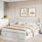 Elegant Extendable Daybed With Two Storage Drawers And Twin Size Trundle-106951702