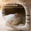 Velvet Nest Pet Bed