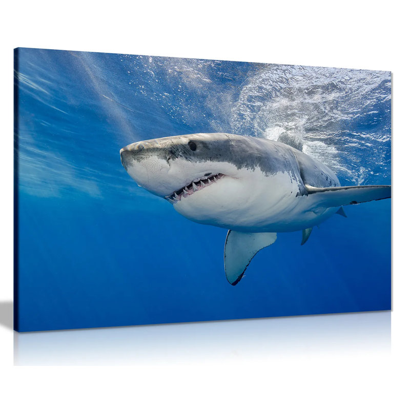 Shark Underwater Blue - Wrapped Canvas Print, 76cm H x 51cm W