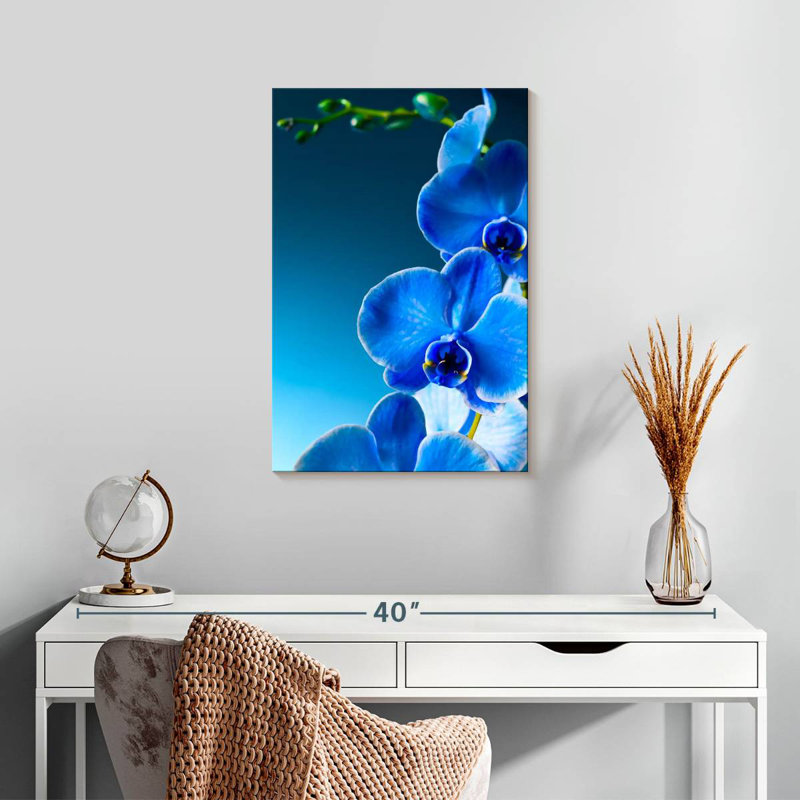 Orchidée bleue Harnek, H 24 po x l 16 po