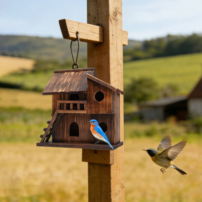Maison d'oiseaux en bois Mohit, maison d'écureuil pour petits oiseaux