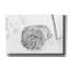 «A Roll In The Snow» par nom d'artiste-513902355
