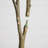 7Ft. Artificial Dogwood Tree