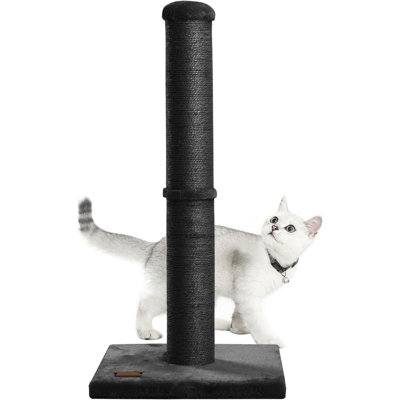 Amazon Cat Furniture Cat Scratching Post Canada Black Cat