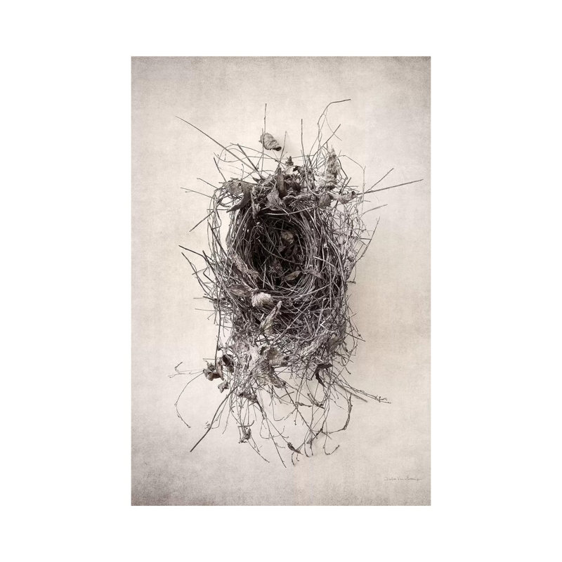 Nest II by Debra Van Swearingen - Wrapped Canvas Print, 20.32 cm H x 30.48 cm W