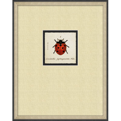 Coccinelle 3 - Cadre photo sur papier