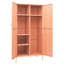 Alazhia Steel Wardrobe-2118603184