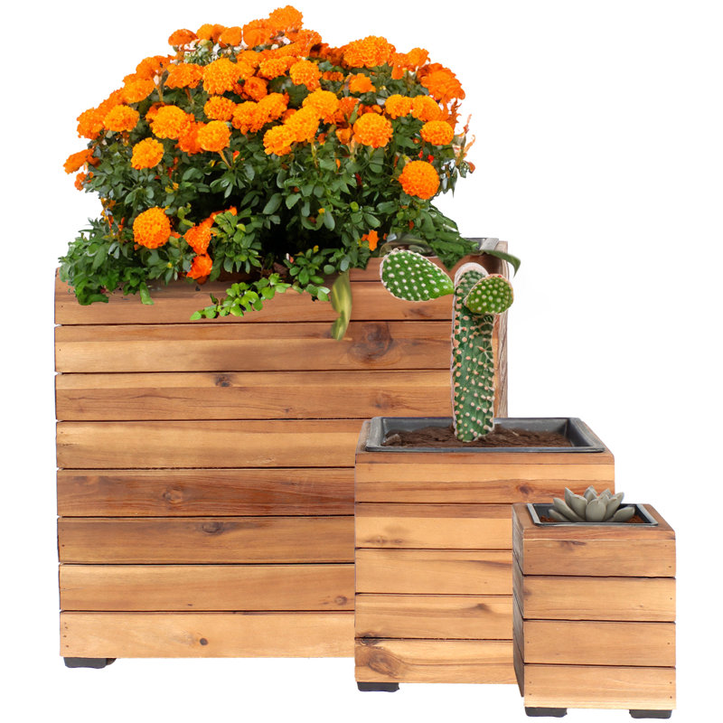Breigha 3pc Assorted Square Acacia Wood Planter Box with Liner, Brown