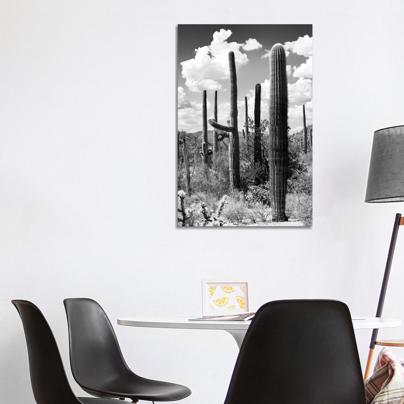 The Cactus by Philippe Hugonnard - Wrapped Canvas Print, 101.6 cm H x 66.04 cm W x 3.175 cm D
