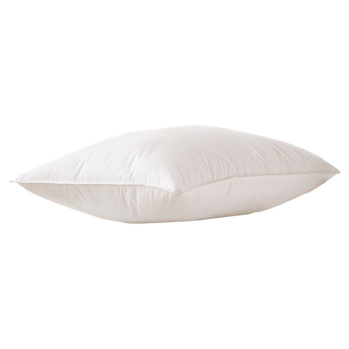 Astra Innofil Plush Pillow, Queen, Soft