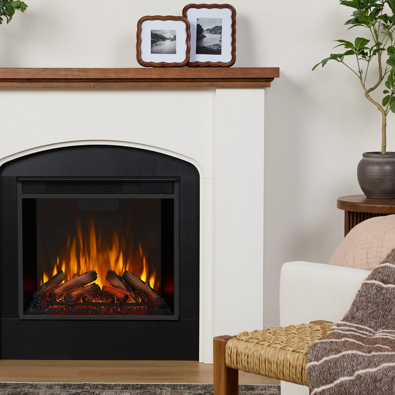 Anika 49" Electric Fireplace with Reversible Surround by Real Flame