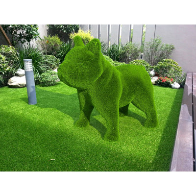 Bouledogue français géant extérieur