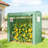 Stable Greenhouse,Mini Greenhouse-123950867