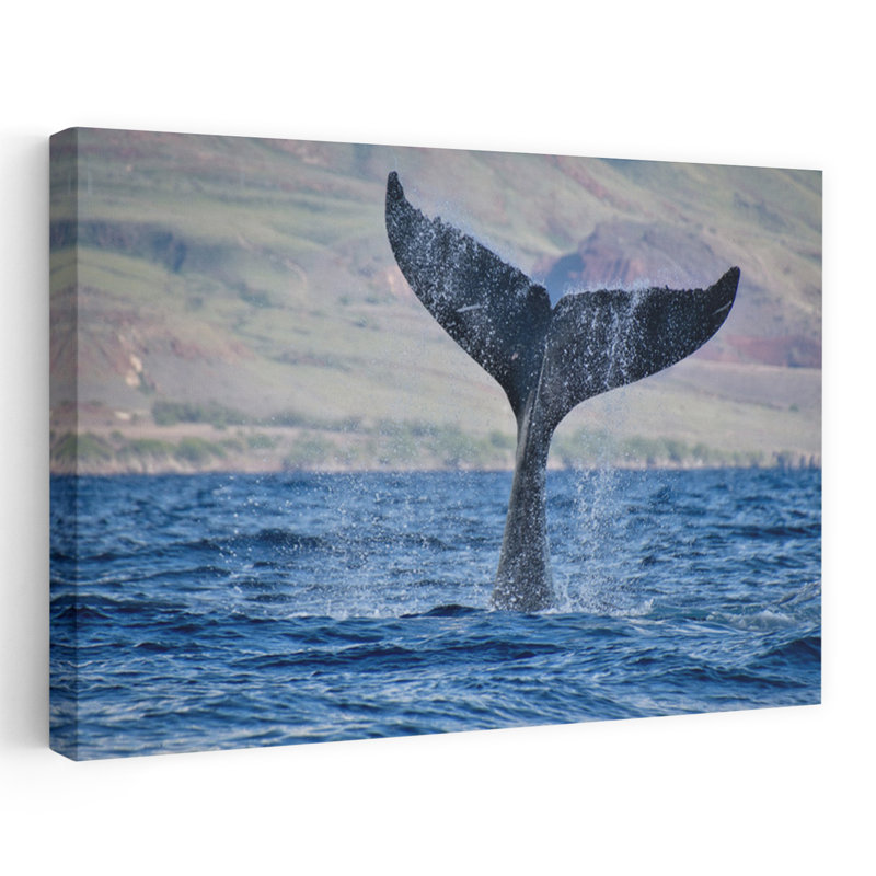 Art contemporain, art contemporain, baleine, H 8 po x l 12 po