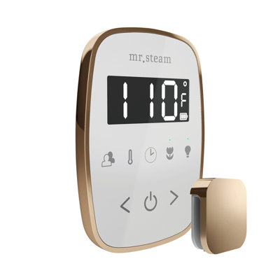 TempoFlex Steam Shower Control and Steamhead 