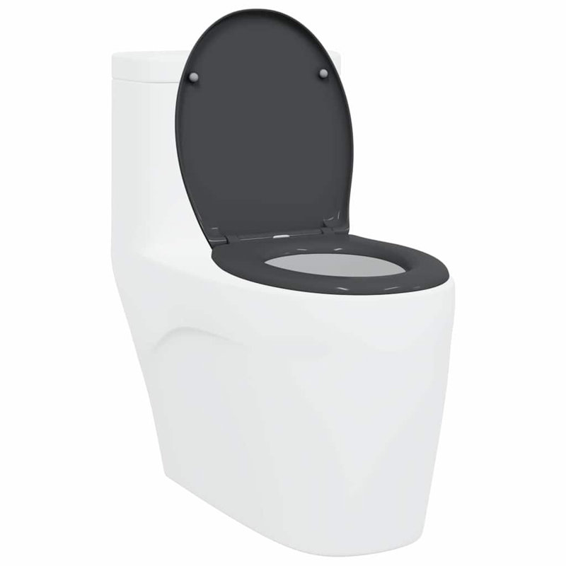 Toilet Seat Duroplast Bathroom Fixture Modern Indoor Home Renovation