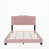 Rose est en rupture de stock