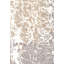 Abstract Area Rug in Beige/Gray