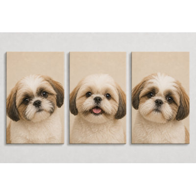 Large Set of 3 Shih Tzu Dog Wall Art Canvas Prints, Cute Puppy  Artwork for Bedroom Living Room Nursery Pet Lover Home Decor, 16x24 Inch Canvas Print - Ready to hang