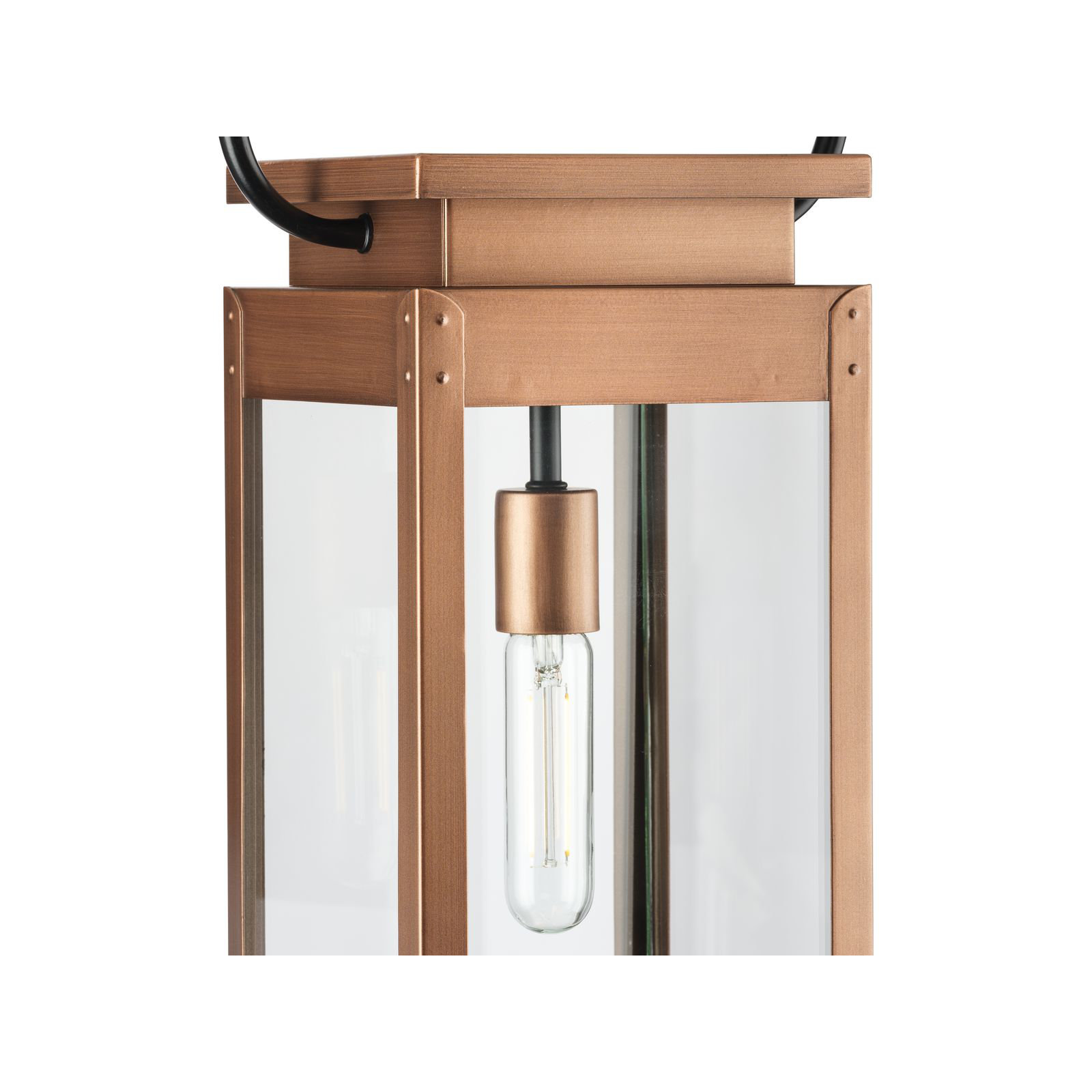 Ginseng Transparent Outdoor Hanging Lantern