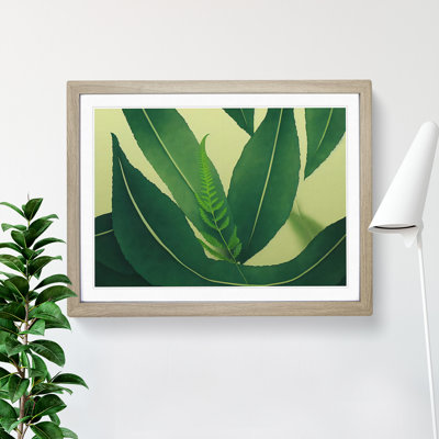 Spirited Leaf - Single Picture Frame Print